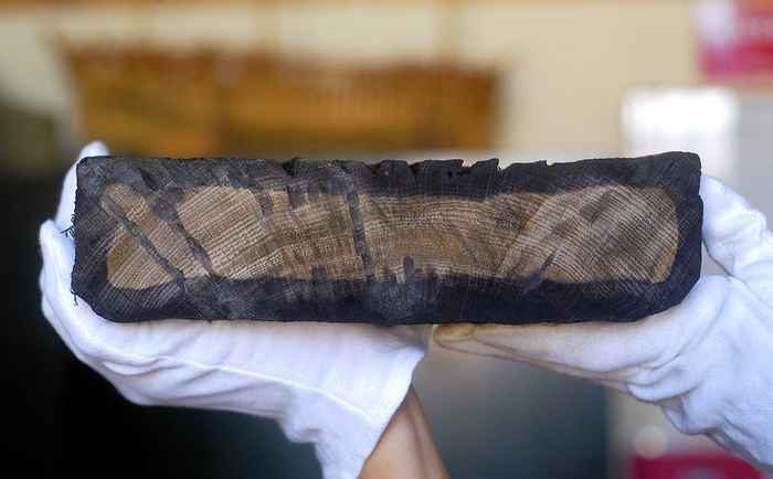 Cross section of oak hull plank from 1629 Batavia ship showing its tree-rings. This sample was extracted from a loose hull plank in 2007 before the research team came up with a much less destructive method of sampling (Photo: Patrick E. Baker, Western Australian Museum).